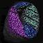 (2-torus with hyperbolic octagon)