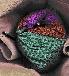 (2-torus with hyperbolic octagon)