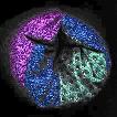 (2-torus with hyperbolic octagon)